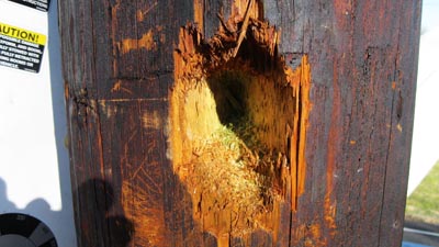 Polywater® UPR™ Utility Pole Restoration Products